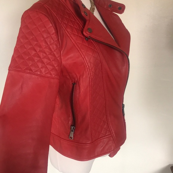 Bagatelle NYC - Picture 8 of 8